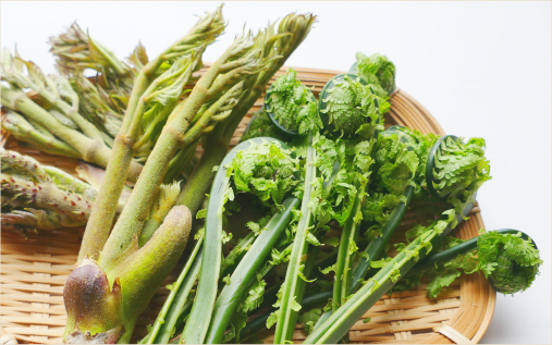 腰掛山荘|愛知 豊田市|下山 三河湖畔の自然体験・五平餅・お食事・ランチ・キャンプ・BBQ｜腰掛山荘／リバーサイドキャンプ腰掛