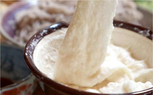 腰掛山荘|愛知 豊田市|下山 三河湖畔の自然体験・五平餅・お食事・ランチ・キャンプ・BBQ｜腰掛山荘／リバーサイドキャンプ腰掛