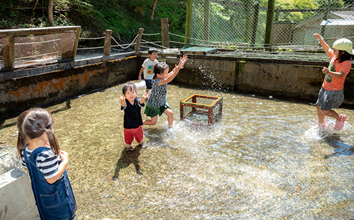 腰掛山荘|愛知 豊田市|下山 三河湖畔の自然体験・五平餅・お食事・ランチ・キャンプ・BBQ｜腰掛山荘／リバーサイドキャンプ腰掛