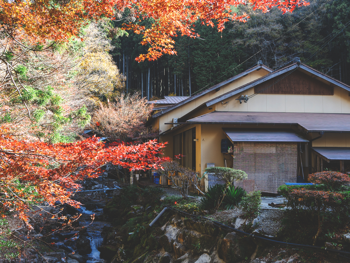 腰掛山荘|愛知 豊田市|下山 三河湖畔の自然体験・五平餅・お食事・ランチ・キャンプ・BBQ｜腰掛山荘／リバーサイドキャンプ腰掛