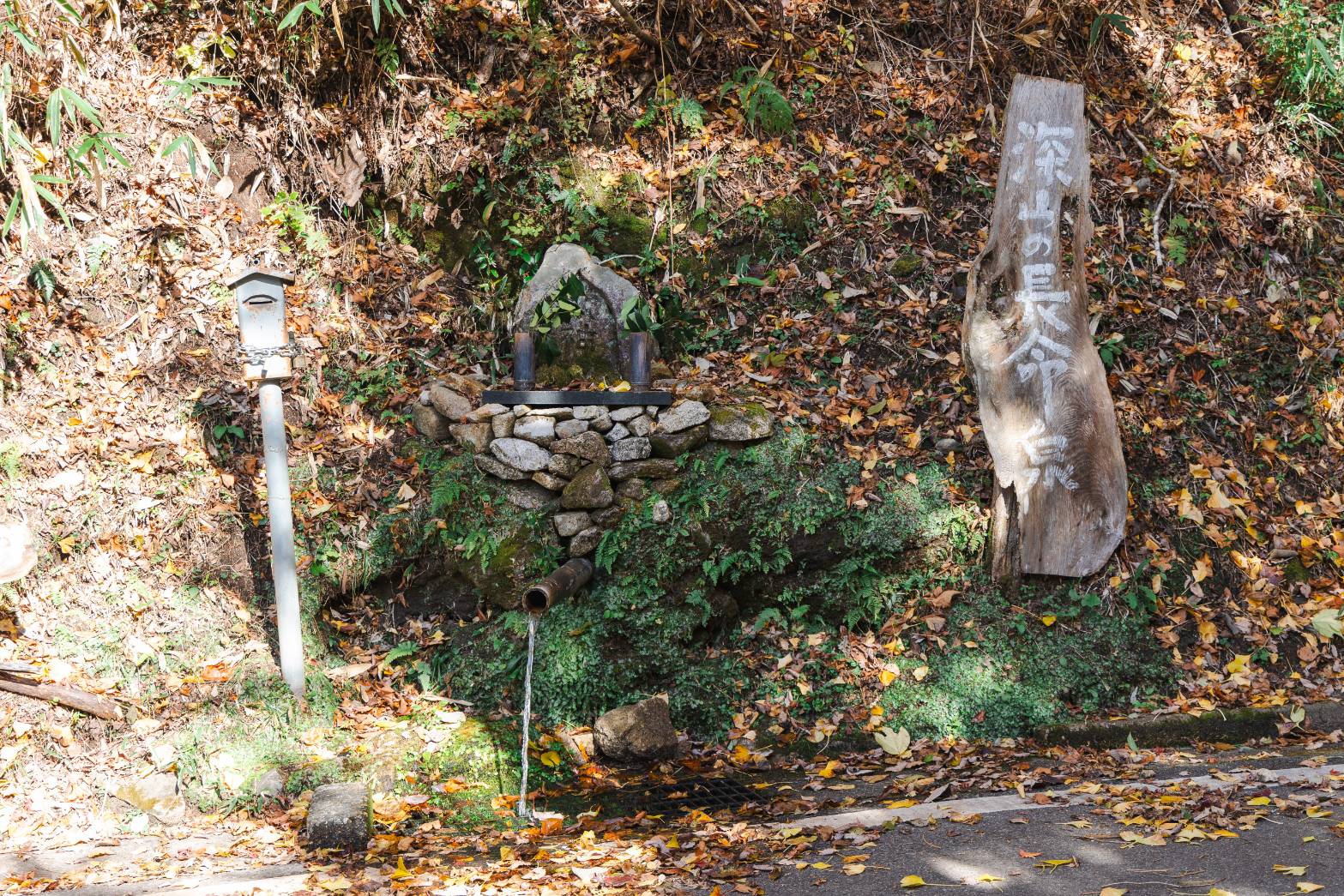 腰掛山荘|愛知 豊田市|下山 三河湖畔の自然体験・五平餅・お食事・ランチ・キャンプ・BBQ｜腰掛山荘／リバーサイドキャンプ腰掛